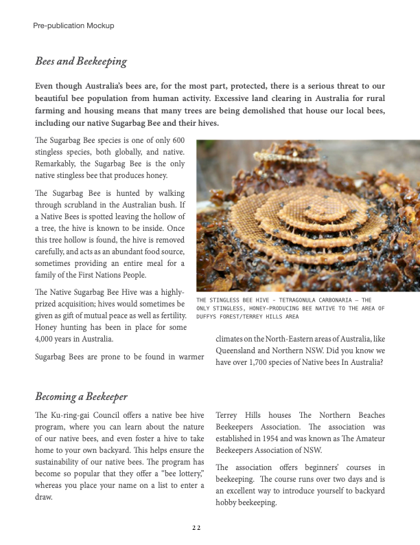 Bees - coffee table spread